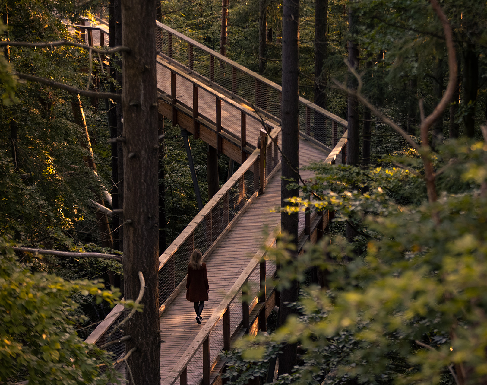 Die Promenade mitten im Wald