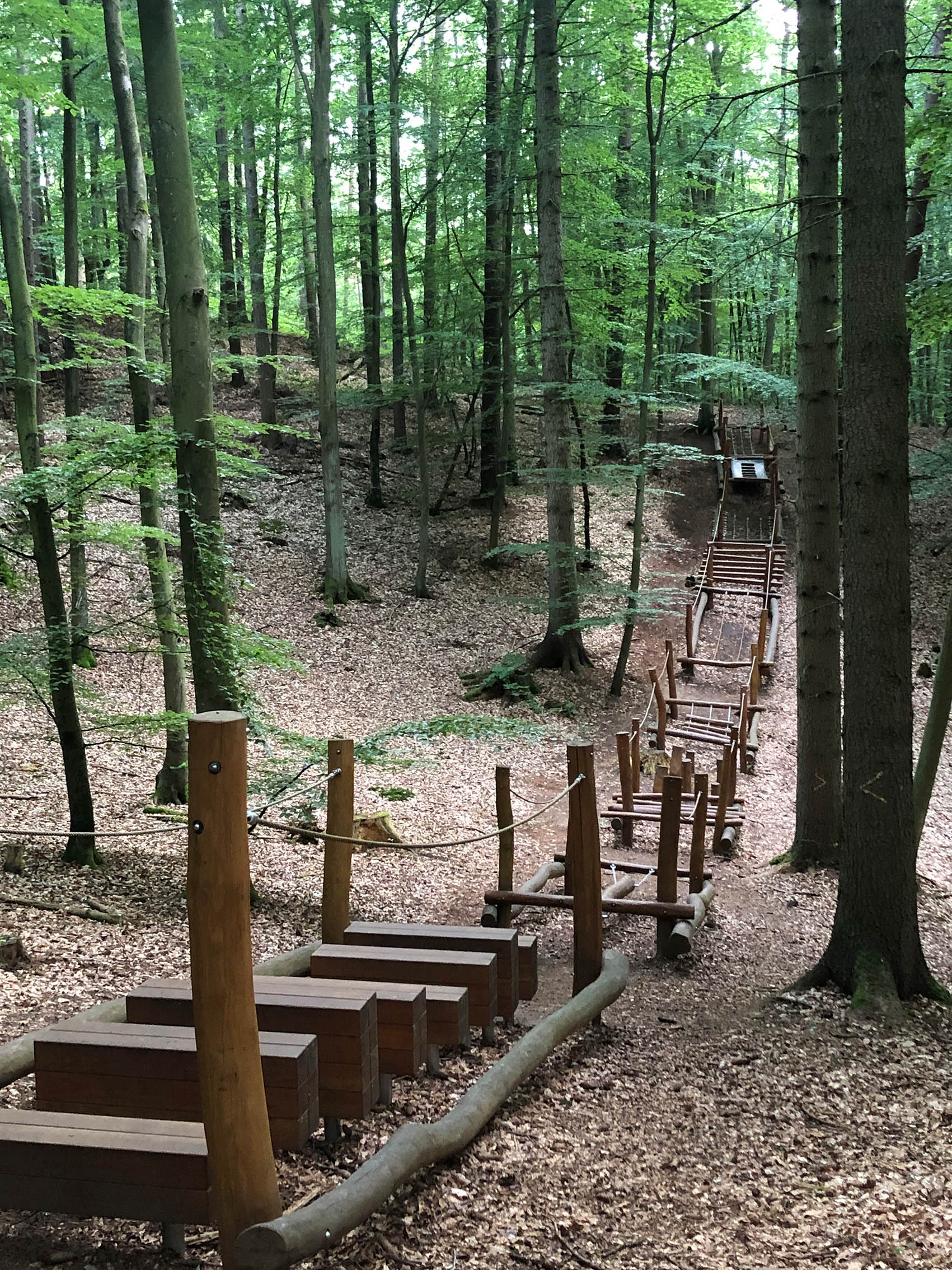 Mit dem Waldgeist Theo auf Entdeckungsreise
